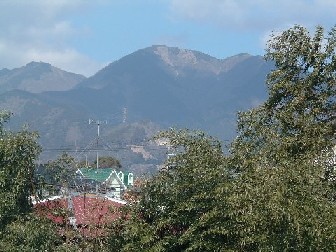 渋沢の山　060225