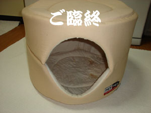 ご臨終.jpg