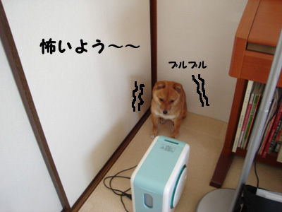 こわいよう.jpg