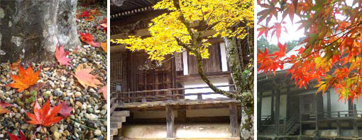 京都高雄山神護寺