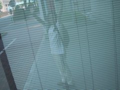 walk3.jpg
