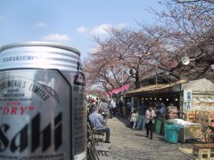hanami.jpg