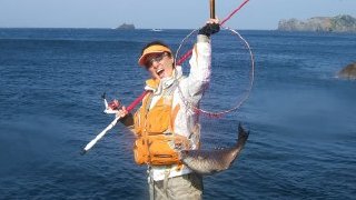d2.jpg