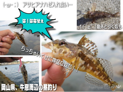 h20.05岡山県牛窓の釣り