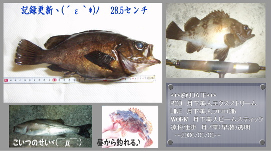 10ページ目の 岡山 海釣り情報 W 何がニャンでも ルアーフィッシング日記 楽天ブログ