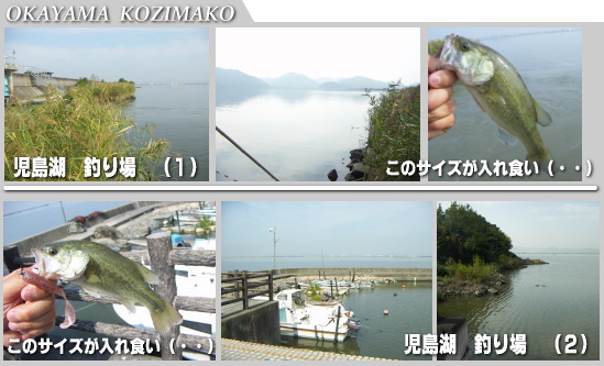 岡山県の児島湖・バス情報～　小型だけど入れ食いでした。