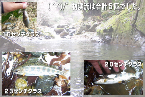岡山県、県北の渓流写真、ルアー釣り
