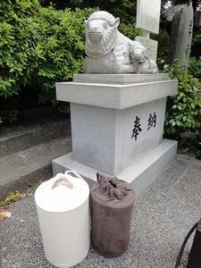 DSC00924.jpg