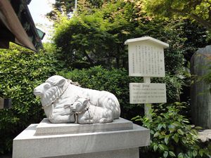 DSC00917.jpg