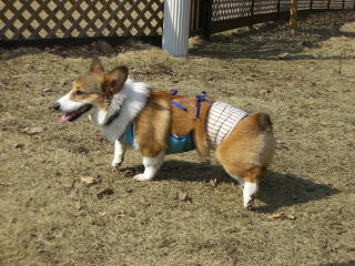 ちょっと休憩中のりき