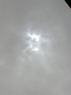 DVC00069_M.jpg