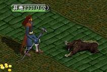 クイズSS：餌になる前に・・・。。