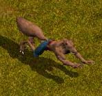 まってろー！アヴィスたん！ｗ