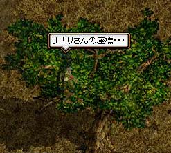 03そこは樹木だった･･･。
