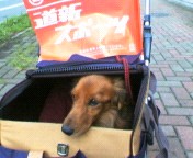 ぼくも応援
