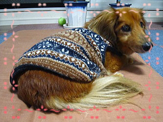 eruoさん