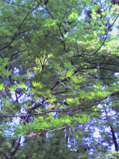 070415_161003.JPG