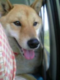 にこにこ