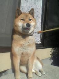 おんなのこ♪