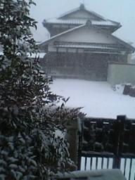 雪降った積もった