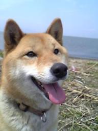 笑顔