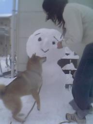 豆好きこむぎさん♪