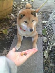 どうぞ！