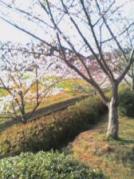 070406_163419.JPG