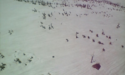 ヘリ意外と揺れるなぁ