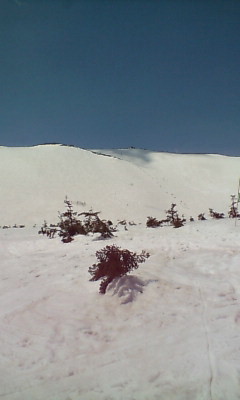 あそこを滑りました。。。