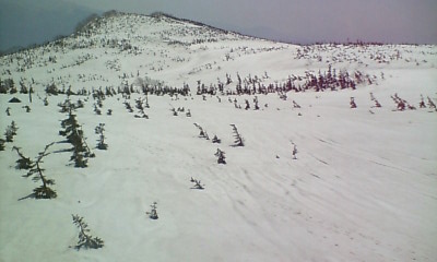 着いたらこんな世界ｗｗｗ