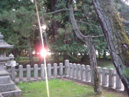 橋立神社から見た光.jpg