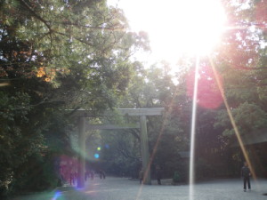 ひかり３００.jpg
