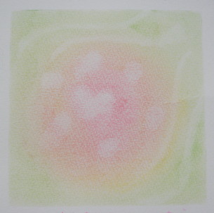 P1182355イツクシミ.jpg