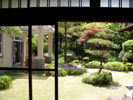 P5160767庭.jpg