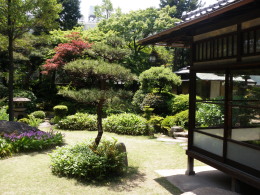 P5160776庭.jpg