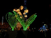 大通公園