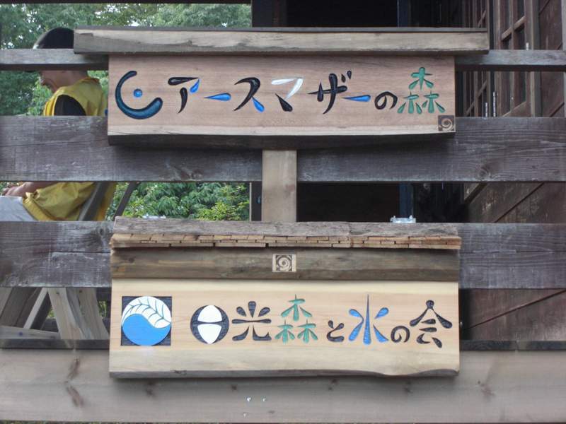 ひまわり 007.jpg