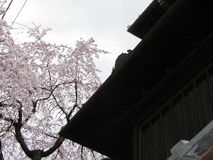 kyoto12.jpg