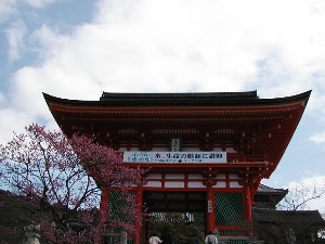 kyoto13.jpg