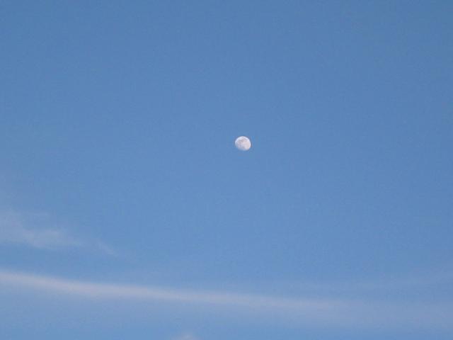 the moon in the blue sky