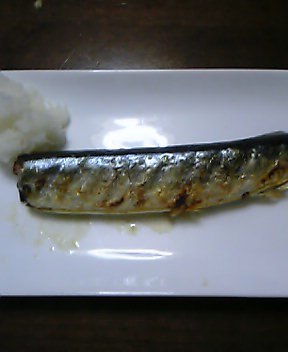 秋刀魚.jpg