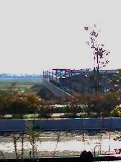091212_1354~001.jpg