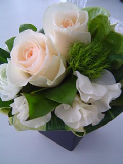 20080202.JPE