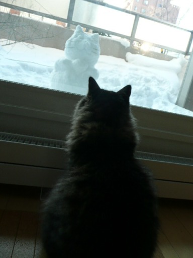 レオぽんと猫雪だるま.jpg