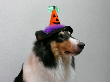 フィーナちゃんのハロウィーン２.JPG