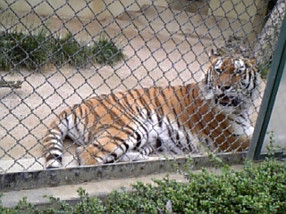 動物園にて☆