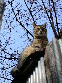 100313_0929~0002.jpg