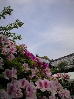 100504_1208~0001.jpg