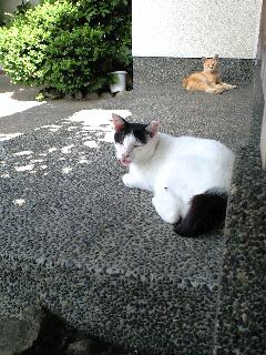 100807_1415~0001.jpg